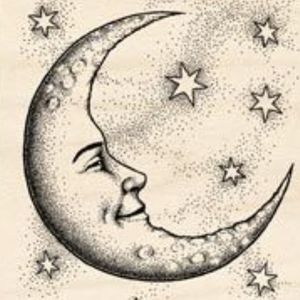 Meet your Posher, Tamala